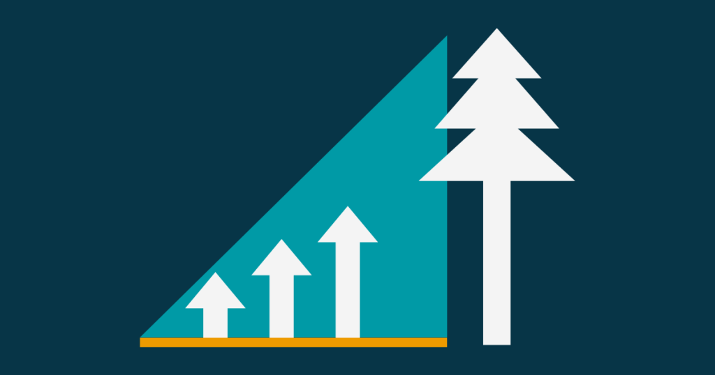 Sustainable Growth Through Strategic Marketing: Planning Beyond the Next Case